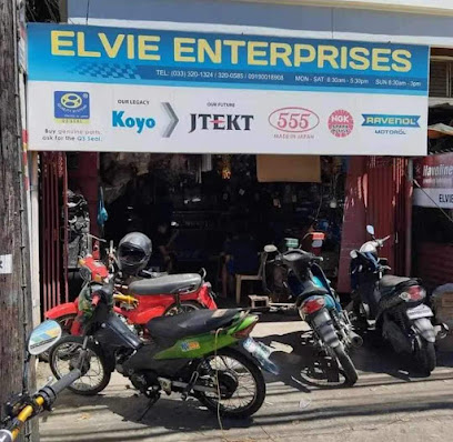 ELVIE ENTERPRISES